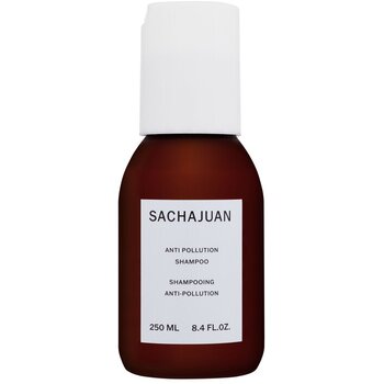 Anti Pollution Shampoo - Šampón proti usadzovaniu nečistôt